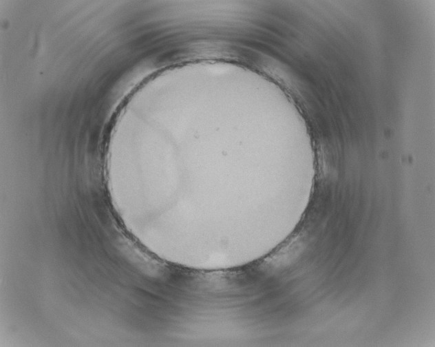 X0000074930828200609291755