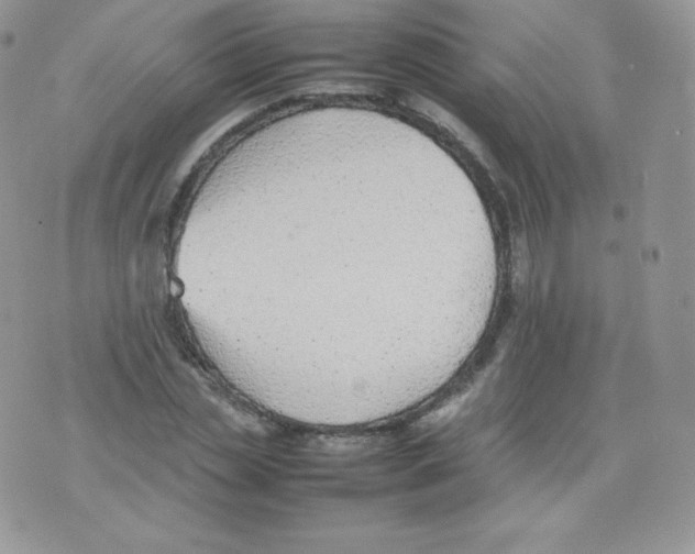 X0000074930829200609291755