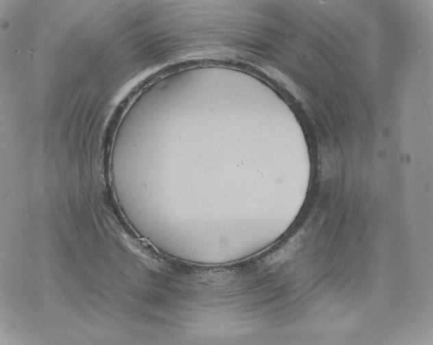 X0000074930830200609291755