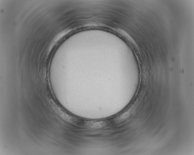 X0000074930831200609291755