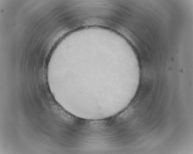 X0000074930832200609291755