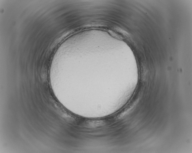 X0000074930833200609291755