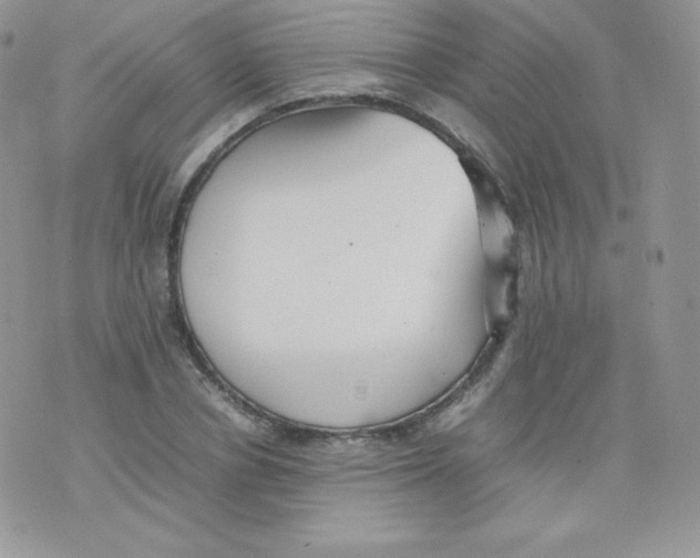 X0000074930834200609291755