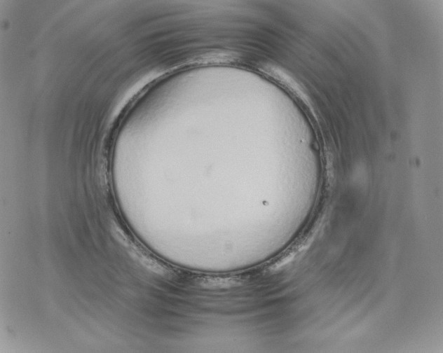 X0000074930835200609291755