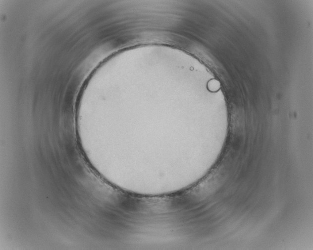 X0000074930836200609291755