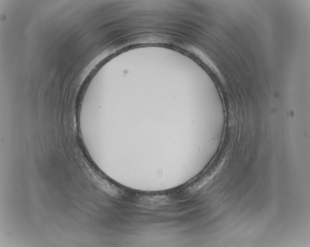 X0000074930837200609291755