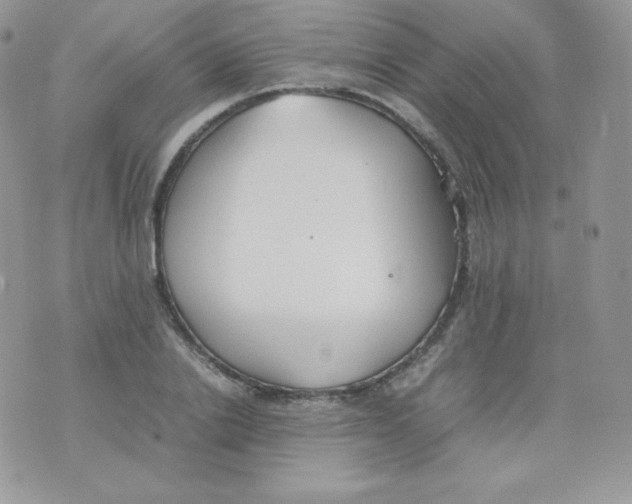 X0000074930838200609291755