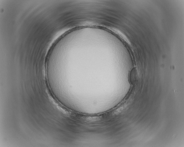 X0000074930839200609291755