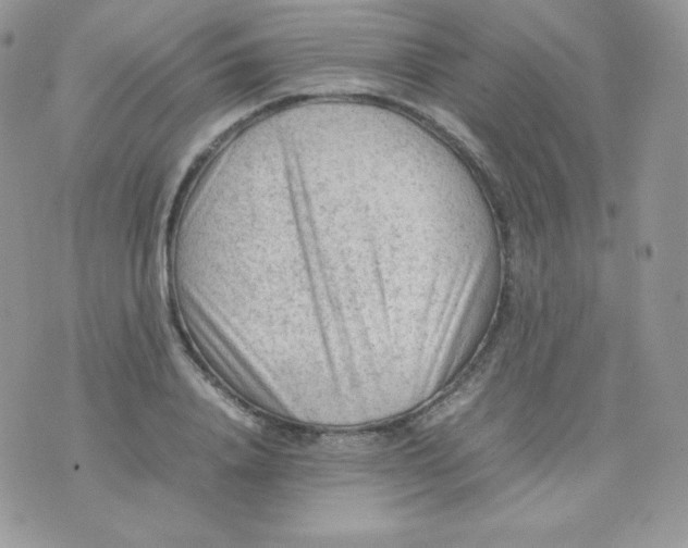 X0000074930840200609291755