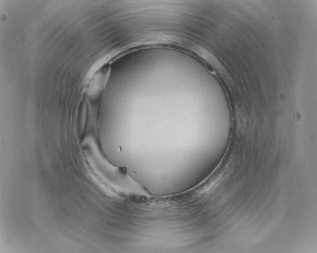 X0000074930842200609291755