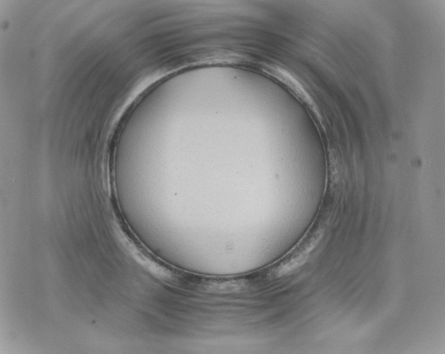 X0000074930843200609291755