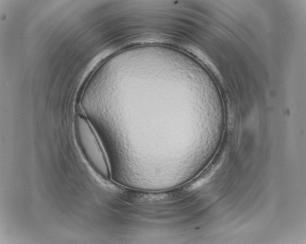 X0000074930845200609291755