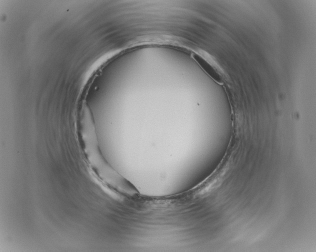 X0000074930846200609291755