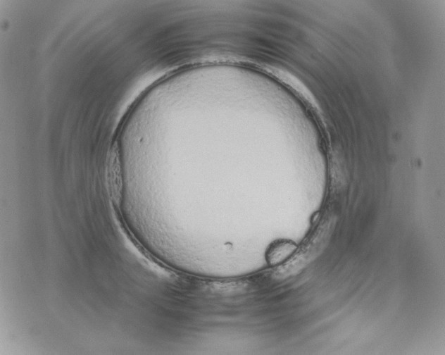 X0000074930847200609291755