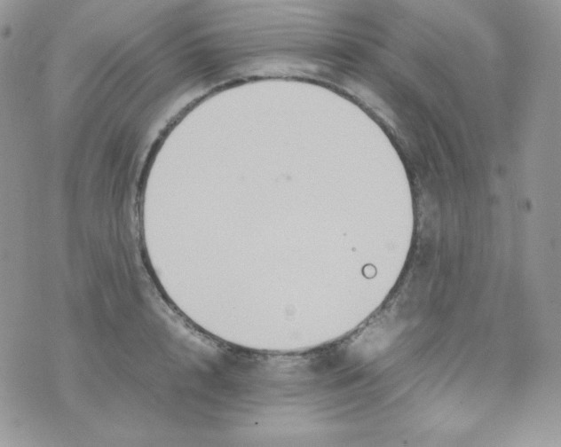 X0000074930848200609291755