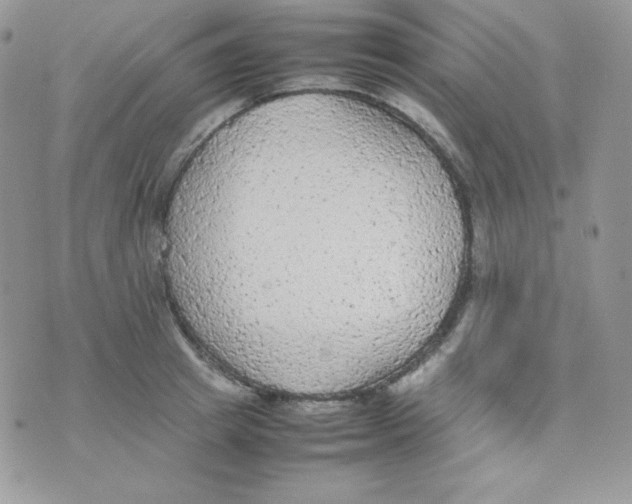 X0000074930849200609291755