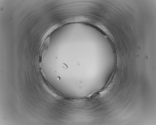 X0000074930850200609291755