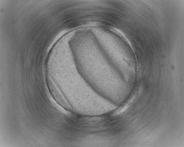 X0000074930851200609291755