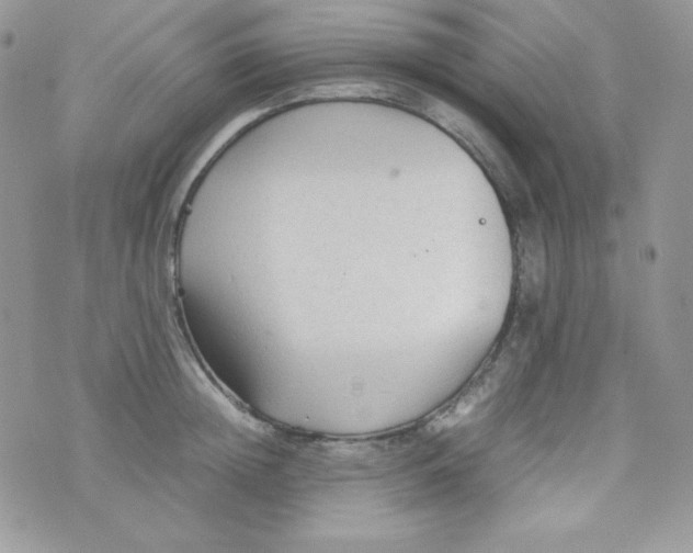 X0000074930852200609291755