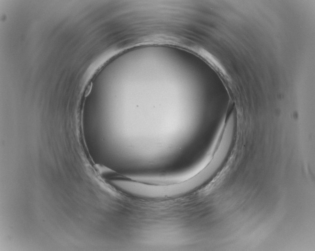 X0000074930854200609291755