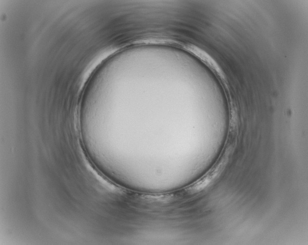 X0000074930855200609291755