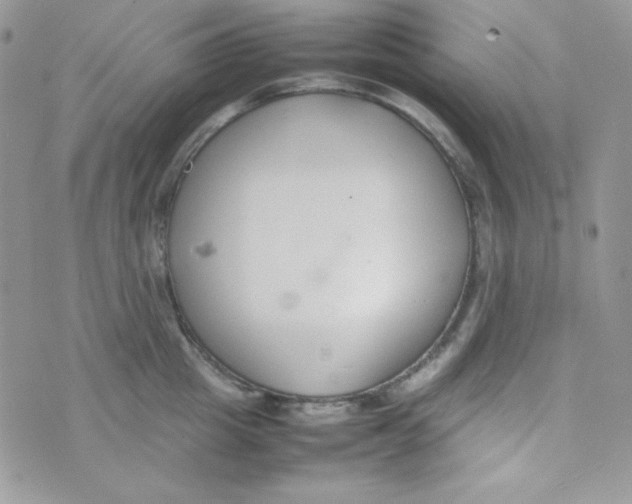 X0000074930857200609291755