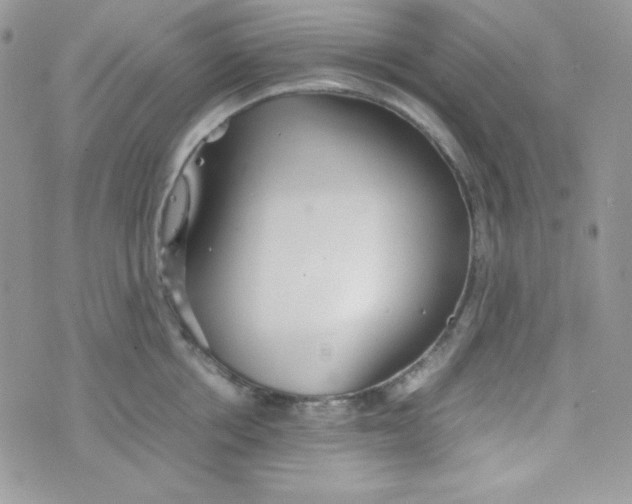 X0000074930858200609291755