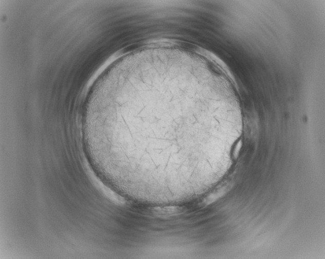 X0000074930859200609291755