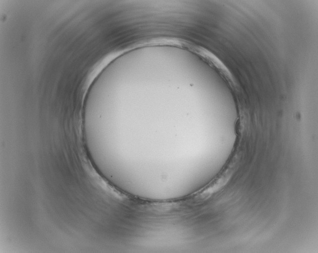 X0000074930860200609291755