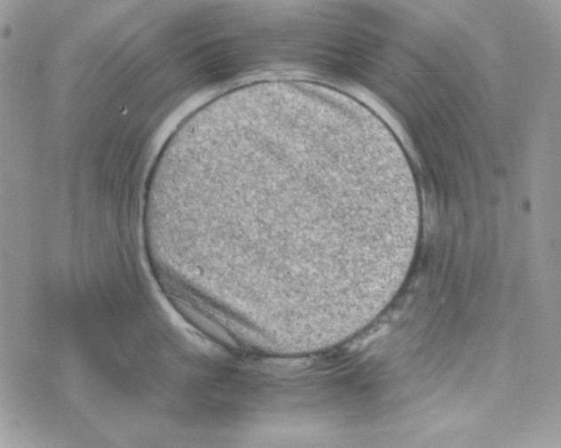 X0000074930861200609291755