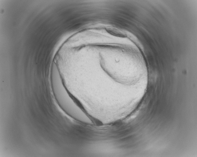 X0000074930863200609291755