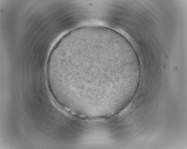 X0000074930864200609291755