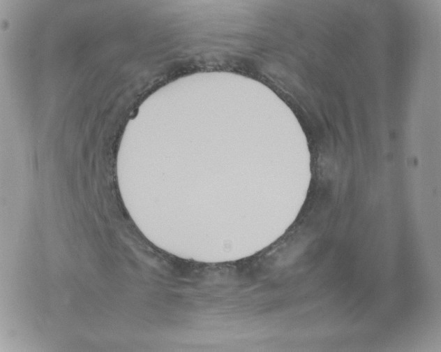 X0000074930865200609291755