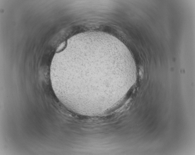 X0000074930867200609291755