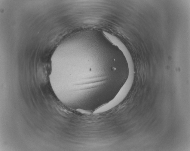 X0000074930868200609291755