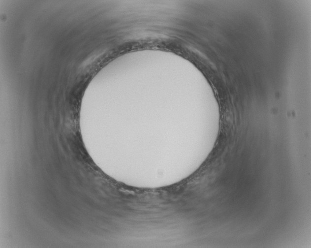 X0000074930869200609291754