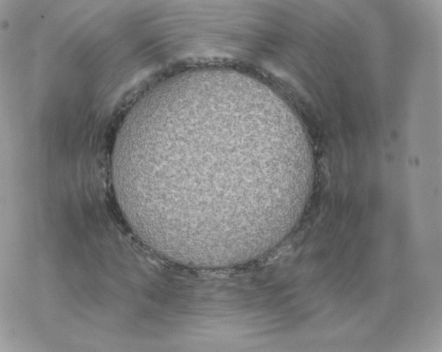 X0000074930870200609291754