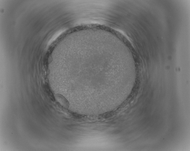 X0000074930871200609291754