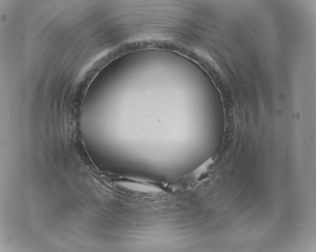 X0000074930872200609291754