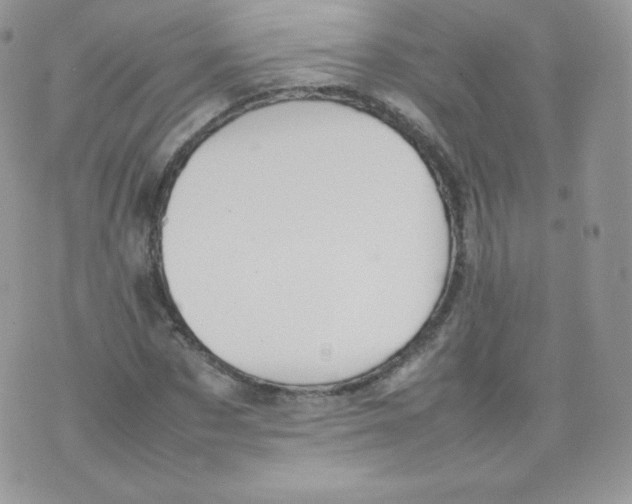 X0000074930873200609291754