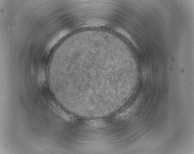 X0000074930874200609291754