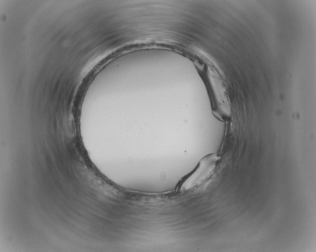 X0000074930876200609291754