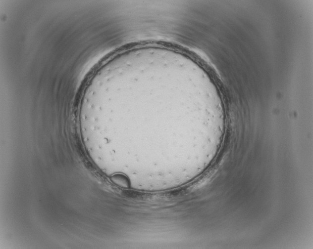 X0000074930879200609291754