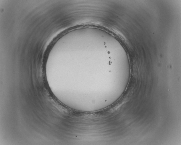 X0000074930880200609291754