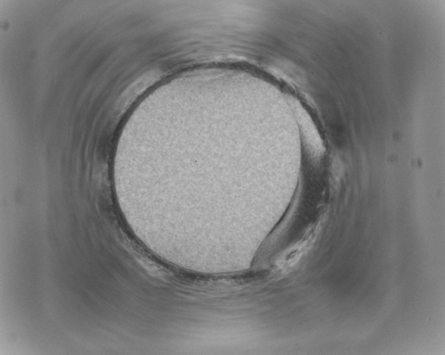 X0000074930881200609291754