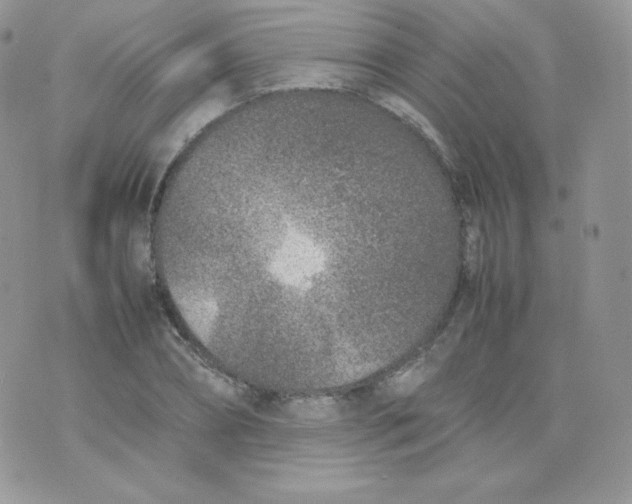 X0000074930882200609291754