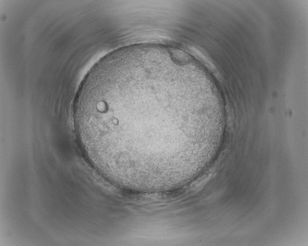 X0000074930883200609291754