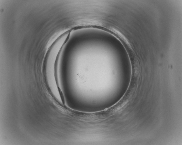 X0000074930885200609291754