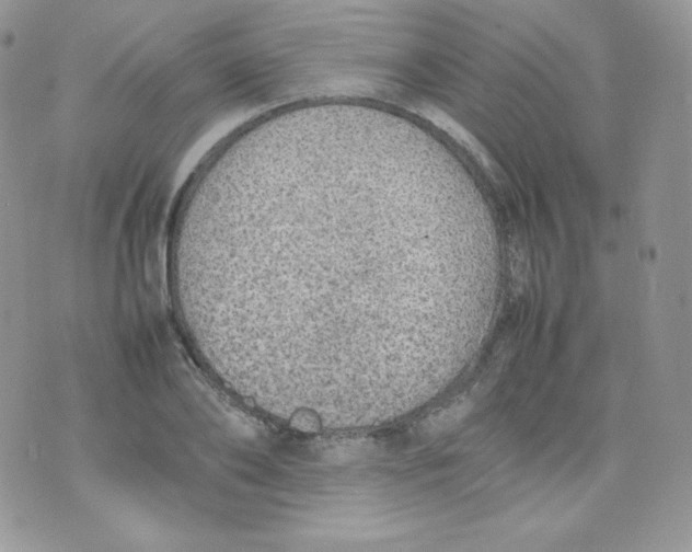 X0000074930886200609291754