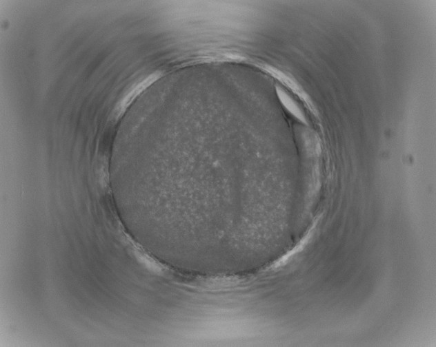 X0000074930889200609291754